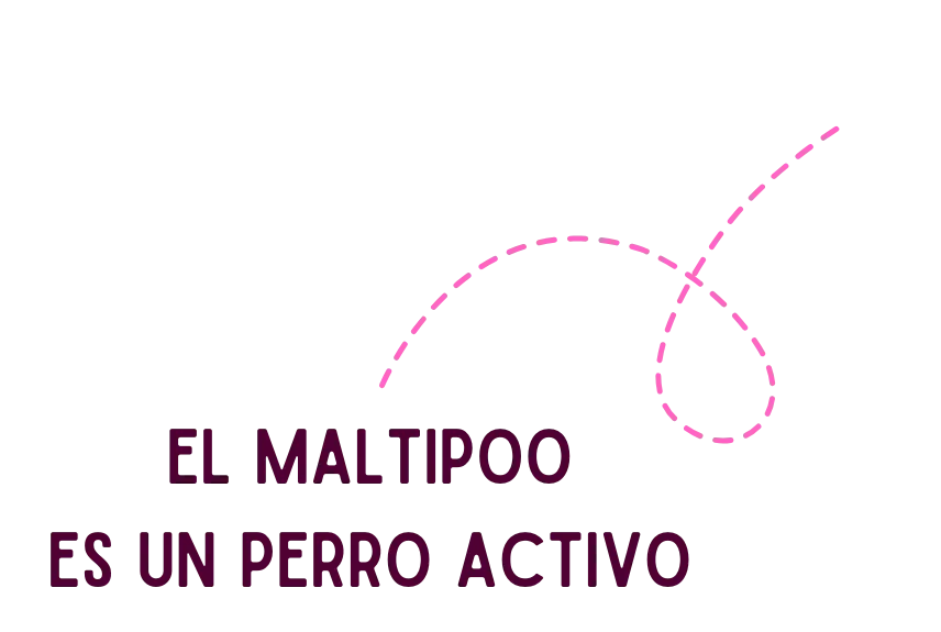 Copia de logo minipuppys (15)